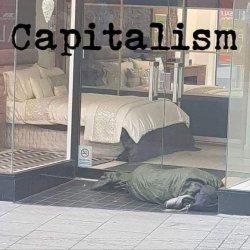 Capitalism in a nutshell Meme Template