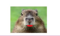 Lipstick Capybara Meme Template