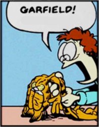 GARFIELD Meme Template