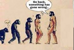 Evolution go back something has gone wrong Meme Template