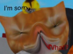 I’m sorry- what? Roblox cat but distorted Meme Template