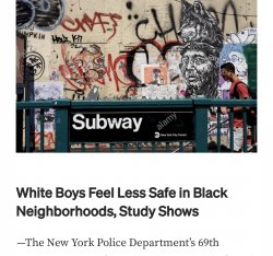 White Boys Feel Less Safe in Black Neighborhoods, Study Shows Meme Template
