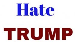 Hate trump Meme Template