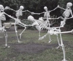 Skeletons <3 Meme Template