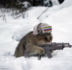 Updated Flag Russian Snow Cat Meme Template