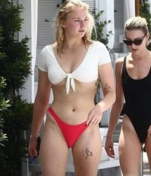 Sophie Turner Meme Template