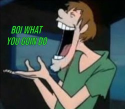 Shaggy boi what you goin do Meme Template