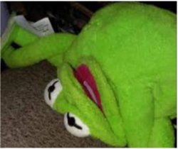 Kermit dying Meme Template