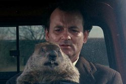 Ground Hog Day Meme Template