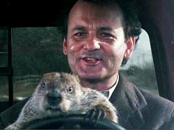 ground hog driving Meme Template