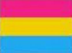 Pansexual Pride Flag Meme Template