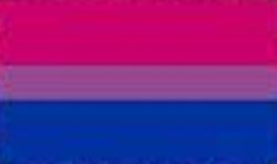 Bisexual Pride Flag Meme Template