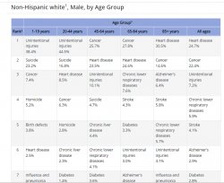 Leading Causes of Death – Males – Non-Hispanic white CDC Meme Template