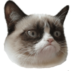 Grumpy Cat Face Meme Template