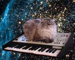 cat on a keyboard in space Meme Template