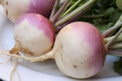 Turnip Meme Template