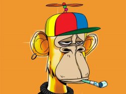 Most expensive bayc Meme Template