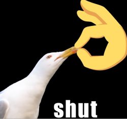 Shut bird Meme Template