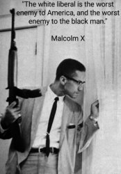 Malcolm X Meme Template