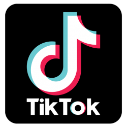 tiktok rules Meme Template