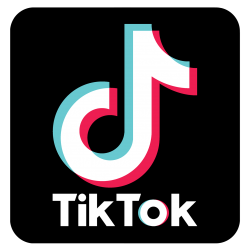 TIKTOK LOGO Meme Template