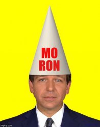 Ron DeSantis Moron, what the country doesn't need Meme Template