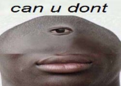 can u dont Meme Template