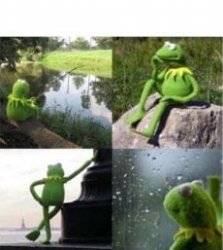 waiting kermit Meme Template