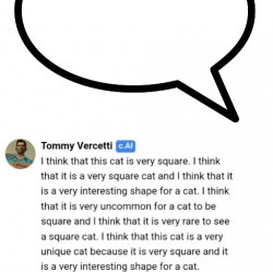 i think that's a very square cat Meme Template