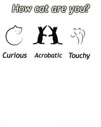 How CAT are you Meme Template