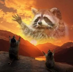 Raccoon God Meme Template