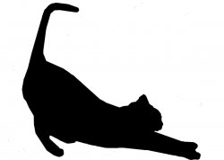 Cat stretching silhouette Meme Template