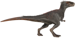 Moros 5 (JWD Design) Meme Template