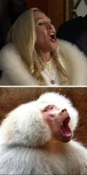 Baboons Meme Template