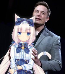 Ellon Musk with white haired catgirl Meme Template