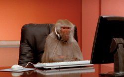Monkey Headset Zoom Meeting Meme Template
