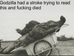 godzilla had a stroke Meme Template