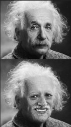 Einstein hide the pain harold Meme Template