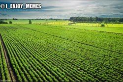 I_enjoy_memes_template Meme Template