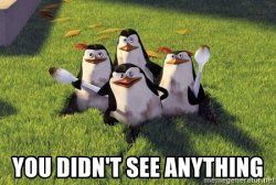 Madagascar Penguins You Didn't See Anything Meme Template