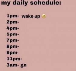 daily schedule Meme Template