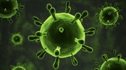 bacteria Meme Template