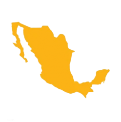 Mexico outline transparent Meme Template
