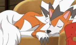 Lycanroc Meme Template