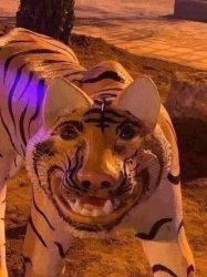 Cursed tiger Meme Template