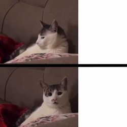 Meow Meme Template