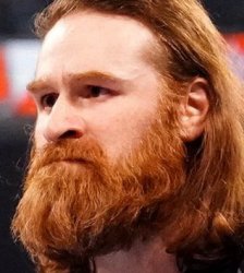 Sami zayn Meme Template