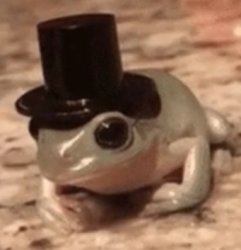 dapper frog Meme Template