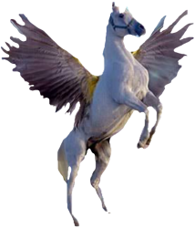 Pegasus on back legs Meme Template