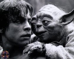 Yoda & Luke Meme Template